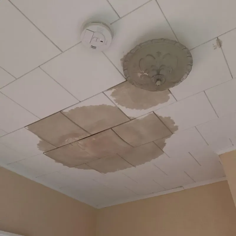 Ceiling Water Damage Repair in New Carlisle, IN