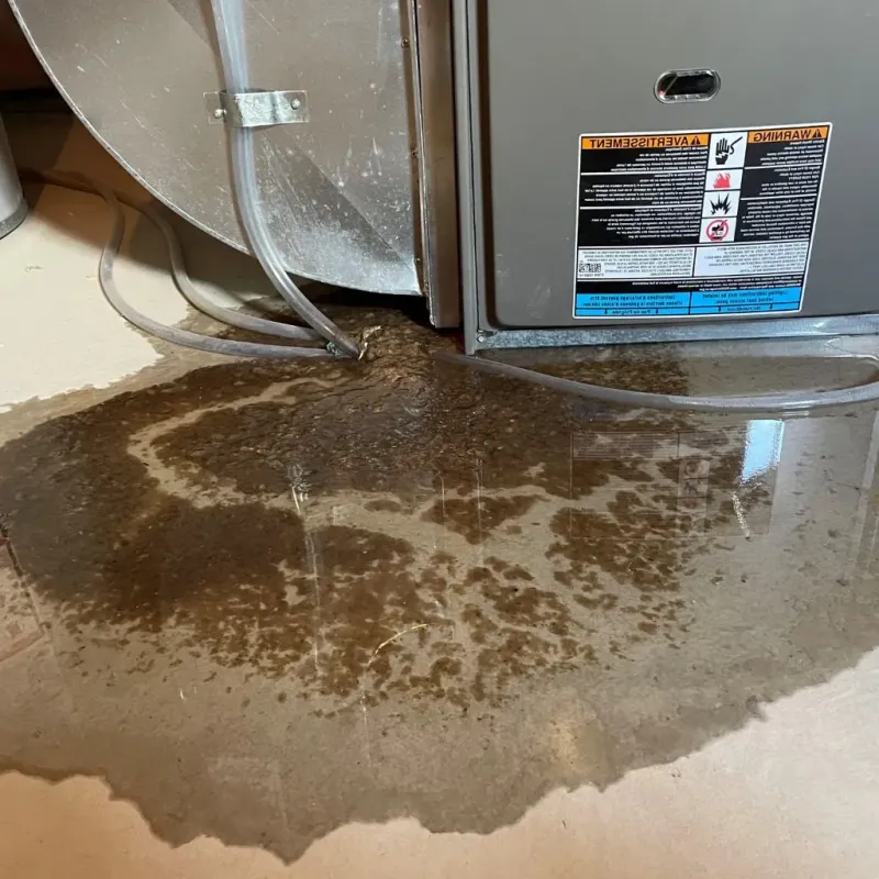 Pipe Burst and Leak Restoration in New Carlisle, IN